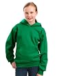 Youth Pullover Hooded Fleece