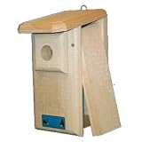 Eastern Bluebird House