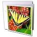 Tiger Swallow Tail Greeting Card is measuring 5.5w x 5.5h. Greeting Cards are sold in sets of 6 or 12. Give these fun cards to your frieds and family as gift cards, thank you notes, invitations or for any other occasion. Greeting Cards are blank inside and come with white envelopes.