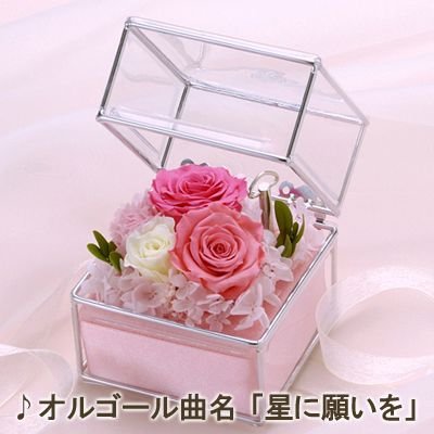 【日比谷花壇】オルゴールフラワー「ロゼキューブ（星に願いを）」
