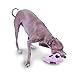 Outward Hound Kyjen  32054 Bottle Buddies Pig Squeaker Dog Plush Chew Toys, Large, Pink