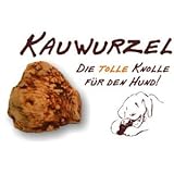 Kauwurzel für