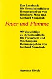 Produkt-Bild: Feuer und Flamme. 99 Vorschl&auml;ge zu Arbeitsmitteln f&uuml;r Freiarbeit und Wochenplan