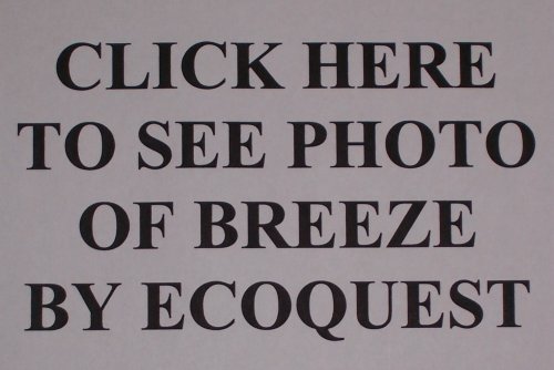 BREEZE AT air purifier by EcoQuest