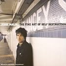 The Fine Art Of Self Destruction