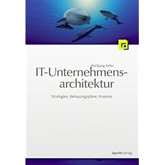 IT-Unternehmensarchitektur. Von der Geschäftsstrategie zur optimalen IT-Unterstützung (Gebundene Ausgabe)