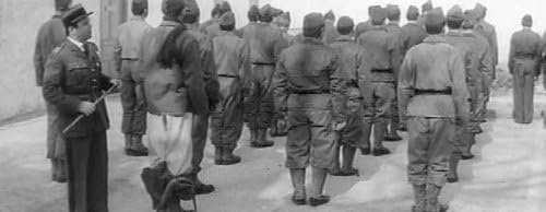 Tire Au Flanc (The Army Game)