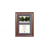 South Florida Bulls Suede Mat Diploma Frame with Lithograph