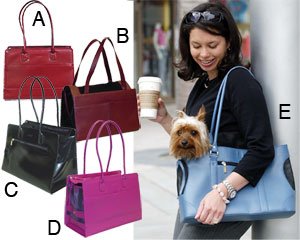 Kyjen Outward Hound Purse Pet Carrier, Red