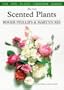 The Best Scented Plants and How to Grow Them (Pan Plant Chooser)