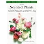 Best Scented Plants (Plant Chooser)