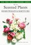 Best Scented Plants (Plant Chooser)