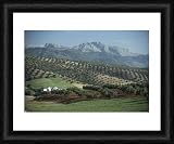 Landscape near Malaga - Framed 10x8 Print (25x20cm) by Robert Harding