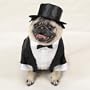 Casual Canine Tux W/Tails & Top Hat Medium 16 In .