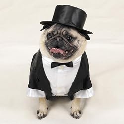 Dog Tuxedo Bride Groom Halloween Costume Size Medium