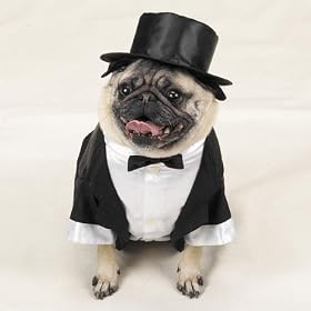 Casual Canine Tux W/Tails & Top Hat Medium 16 In .