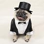 DOG COSTUME - DOG TUXEDO - MEDIUM - Dog Costume