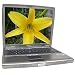Dell Latitude D600 Pentium M 1.40 Ghz 512 RAM 30gb 14"