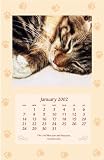 Golden Touch Calendar 2002