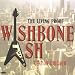 Live in Chicago von Wishbone Ash - alle Infos