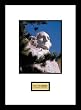 Mount Rushmore National Memorial Photos Parks