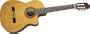 Espana Classical Solid Top Cut-a-Way Acoustic-Electric Guitar RoseWood