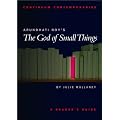 Arundhati Roy's The God of Small Things (Continuum Contemporaries)