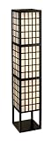 Adesso 3671-01 Middleton Floor Lantern, Black
