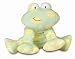 Kids Preferred Asthma and Allergy Friendly Floppy Froggie