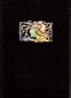 Art nouveau jewelry by Rene Lalique