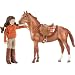Search : Breyer Lisa and Prancer Gift Set