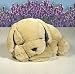 Baby : lavender lab