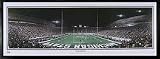 Michigan State Spartans 