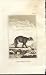 Crab Eating Raccoon 1812 Buffon Natural History Pl 158