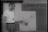 2 DVD Classic Sex Education Films: Vintage Teen Sex Ed Videos for Adolescence, Puberty & Hormone Education for Boys & Girls