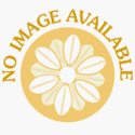 Natural Beeswax Candle - Chanukah, 44 ea