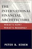 The International Financial Architecture: Whats New? Whats Missing (Policy Analysis in International Economics Ser)