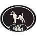 European Style Jack Russell Terrier Car Magnet