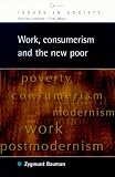Work, Consumerism and the New Poor (Issues in Society)