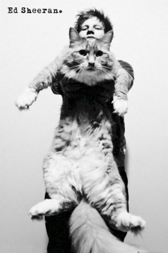 Ed Sheeran Poster - The A Team Cat 24x36 Poster Music Art Print Black And White
