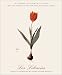 book cover unavailable