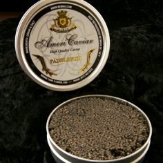 Paddlefish Caviar 1oz by Bemka
