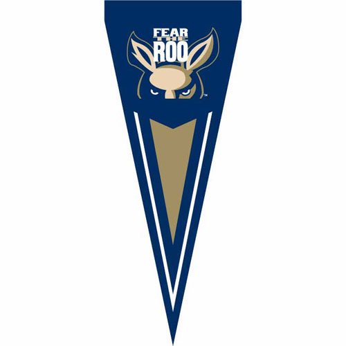 NCAA Akron Zips Yard Pennant