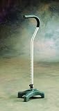 CareGuard Quad Cane Case of 2