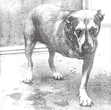 Alice in Chains