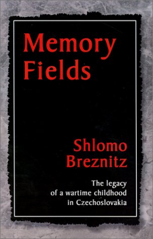 Memory Fields