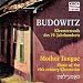Anonymous-Mother Tongue - 19th-Century Klezmorim cd cover