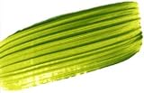 Golden Heavy Body Acrylic Green Gold 8 oz jar