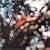 Obscured by Clouds