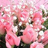 �s���N�̃o���̑��蕨���v���e�B�y���ԁz�o��20�{�ƃJ�X�~�����b�s���O�t